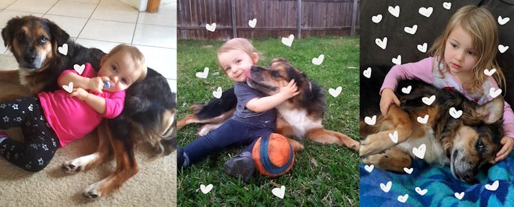 Three frames of a toddler with her dog 