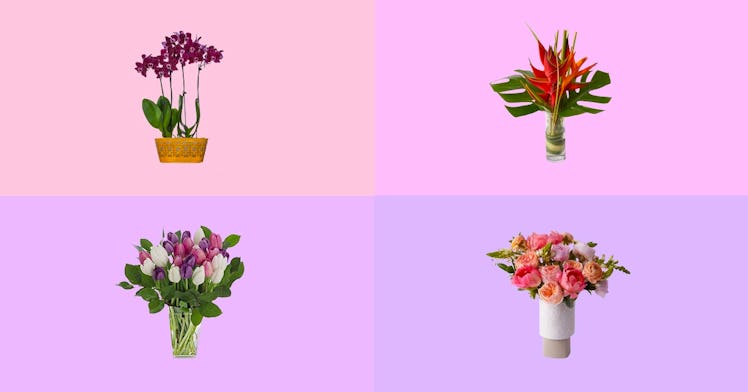 Best mothers day flowers including The Maia Mother's Day Flowers and The Flora Mother's Day Flowers