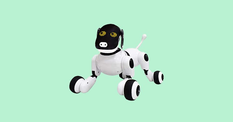 a cute and futuristic-looking robot dog for kids against an aqua background