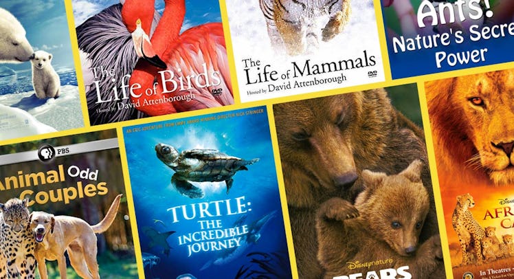 Posters of the Best Nature Documentaries For Kids.