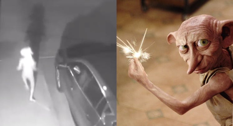 A security camera showing a figure that looks like Dobby from Harry Potter, next to actual Dobby fro...