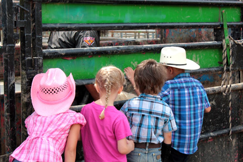 Two boys and two girls looking at a sheep in a cage