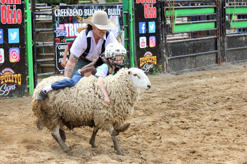 A boy during his mutton busting session on a sheep