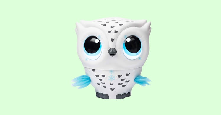 A Wide-Eyed Flying Owl