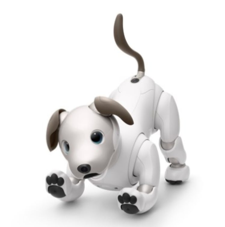 Sony aibo Dog