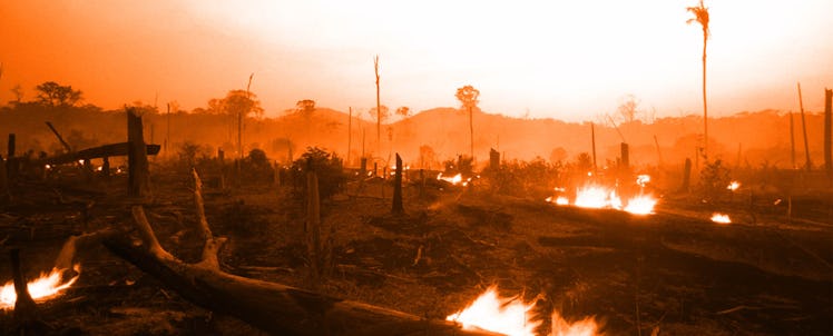 A meadow burning due to climate change