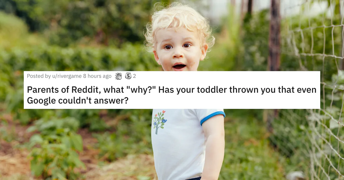 Reddit Thread Explodes With Parents Sharing Unanswerable Toddler Questions