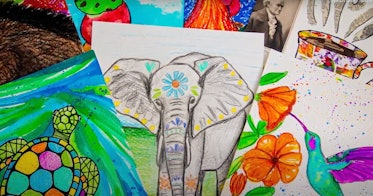 孩子们在网上美术课上画的大象插图