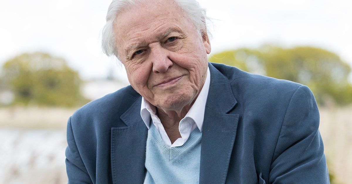 Planet Earth' Narrator David Attenborough Is Teaching Geography Online