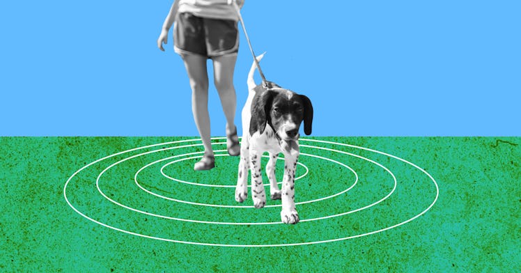 walk