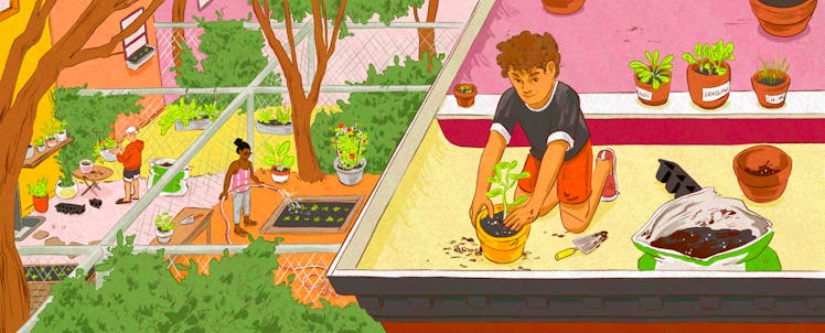An illustration of a man tending to his garden on the roof while others tend to their allotments bel...