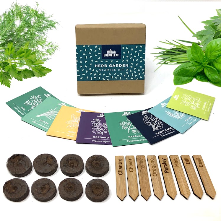 Herb Starter Kit by Urban Leaf