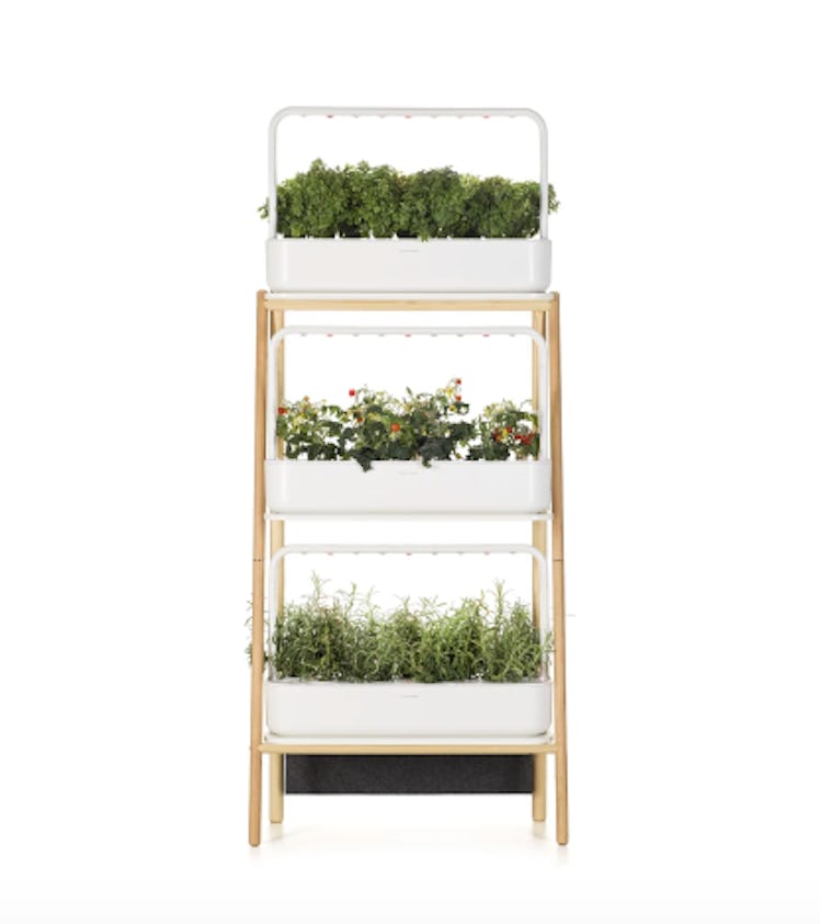 The Smart Garden 27 by Click and Grow