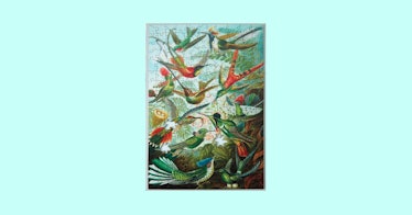 bird puzzle for adults against an aqua blue background