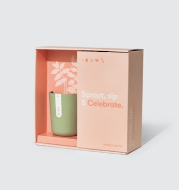 Cocktail Live Well Gift Set by Modern Sprout
