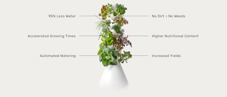 The Farmstand Indoor Garden by Lettuce Grow