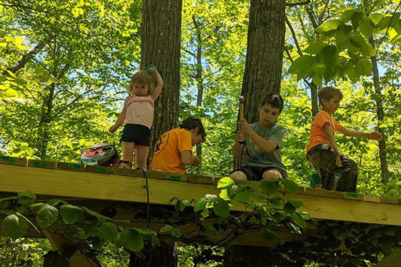 How to Build a Treehouse: The Case for Doing It Yourself