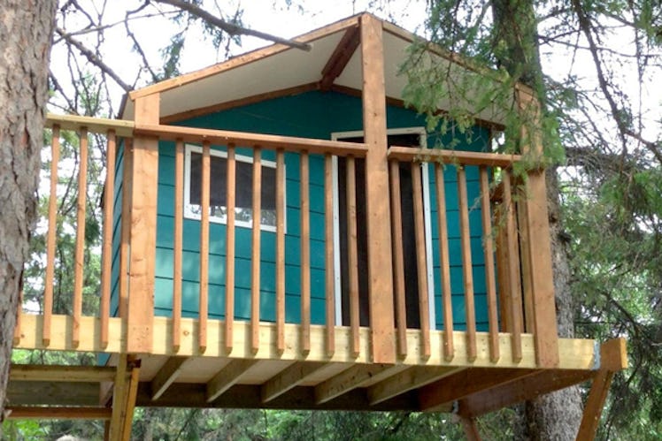 Zelkova Treehouse Plan by Treehouse Guides