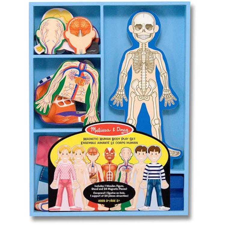 Melissa & Doug Magnetic Human Anatomy Set