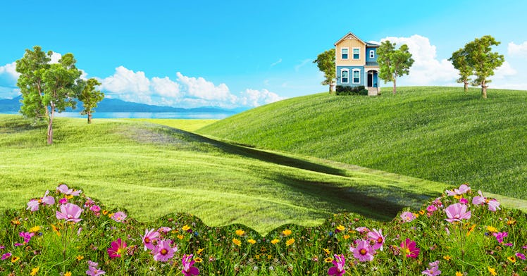 A collage of a green scenery with flower and a tiny house during Covid-19