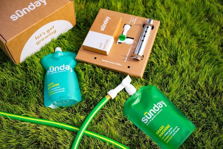 Sunday Lawn Care Subscription Box