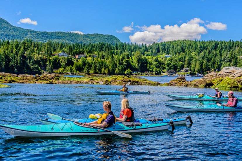 Guests of West Coast Wilderness Lodge in Egmont, British Columbia during canoeing activities