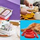 colorful photo grid of four of the best dog subscription boxes for dog food and toys