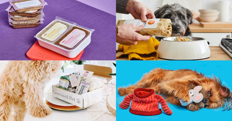 colorful photo grid of four of the best dog subscription boxes for dog food and toys