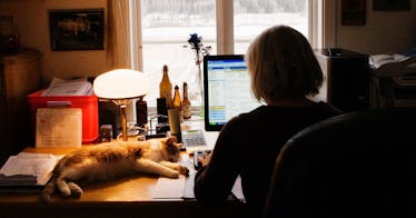 A work from home parent sitting and looking at her computer with a cat lying on the desk 