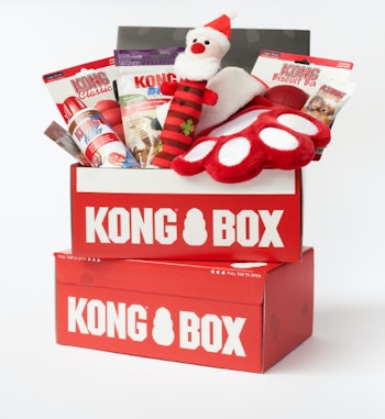Kong Box Dog Subscription