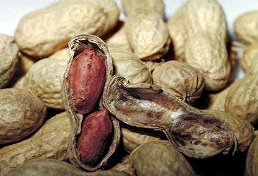 Pile of peanuts in shells.