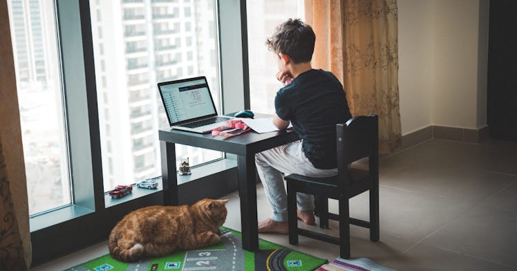 Kid doing remote learning