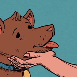 An illustration of a hand petting a brown dog