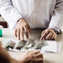 a health professional in a white coat lays four bags of marijuana across a table