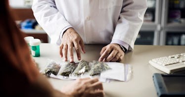 a health professional in a white coat lays four bags of marijuana across a table