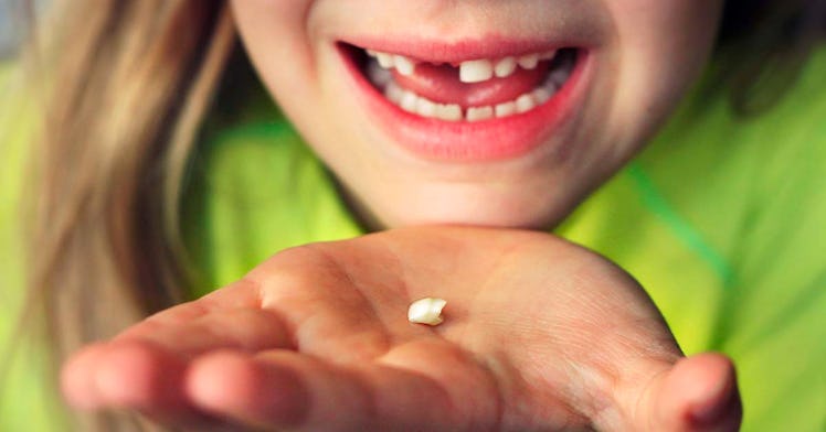 A child looking at a baby tooth that as fallen out