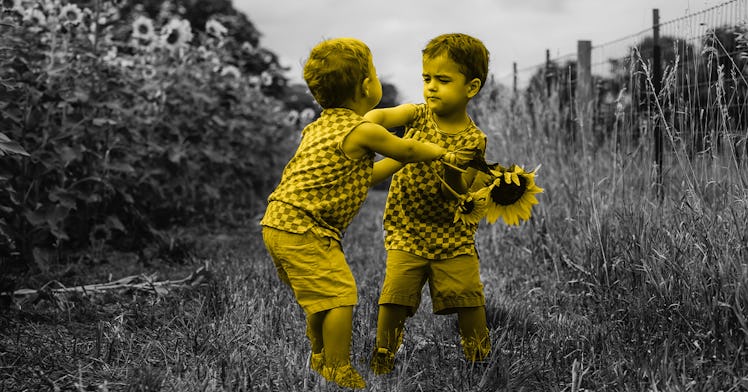 two toddlers fighting over a sunflower