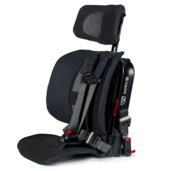 Pico Car Seat by WAYB