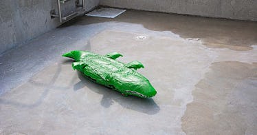 A floatie alligator is belly-up in an empty pool