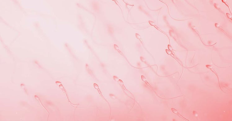 Sperms