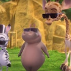 Madagascar sunglasses