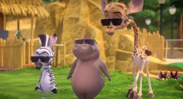 Madagascar sunglasses