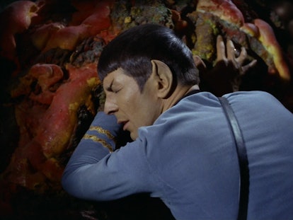 Spock mind meld with horta Star Trek