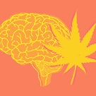 illustration depicting what weed does to the brain