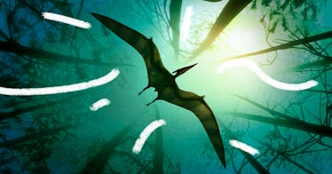 Pterosaur