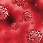 animated image of red viral particles