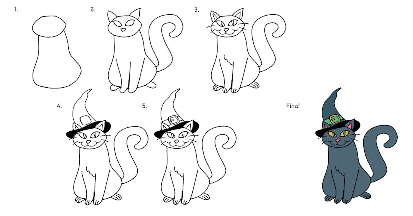 How to Draw a Cat Step in 5 Simple Steps