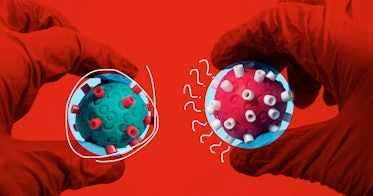 红色尺度的编辑，两只戴着手套的手分别拿着一个卡通蓝色病毒和一个卡通粉色病毒