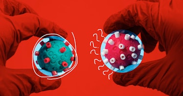 redscale edit of two gloved hands holding a cartoon blue virus and a cartoon pink virus