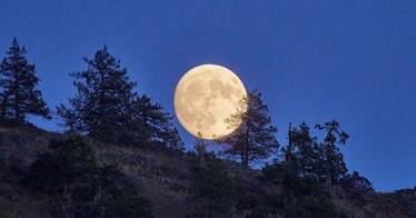 full hunter's moon photo